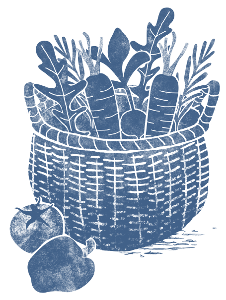 illo-basket