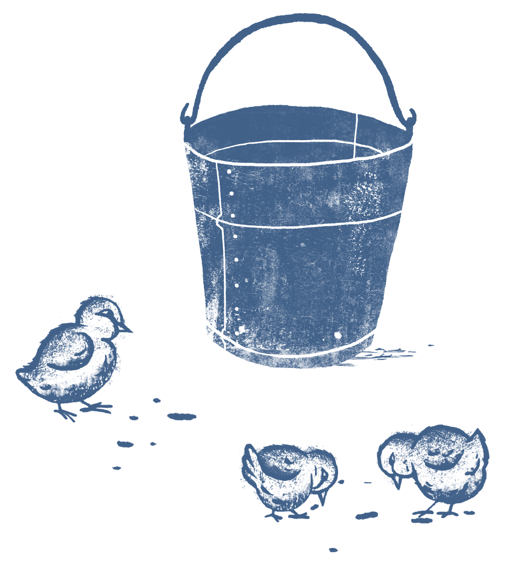 illo-bucket