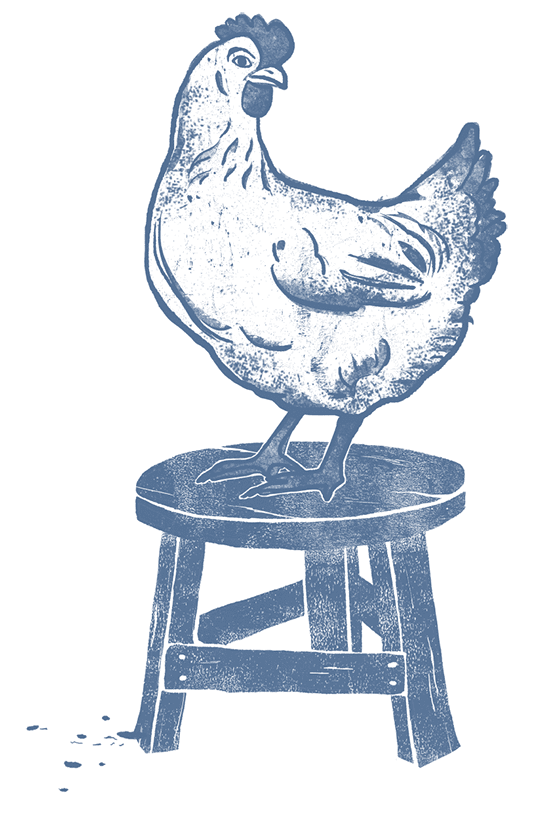 illo-chicken-stool